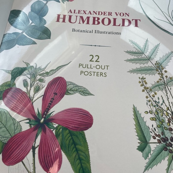 NWT Urban Outfitters Alexander von Humboldt Botanical Illustrations 22 Posters - Picture 7 of 14